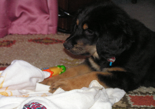 Amy 2006_12_17_03