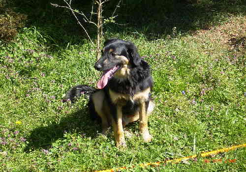 Bild 047