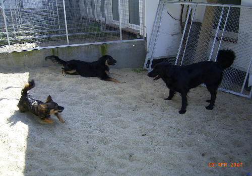 Bild 051