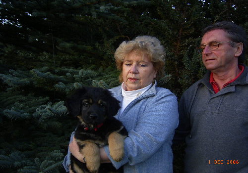 welpen 9.woche 093